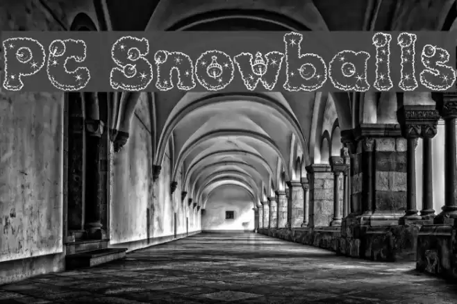 PC Snowballs Polices examples