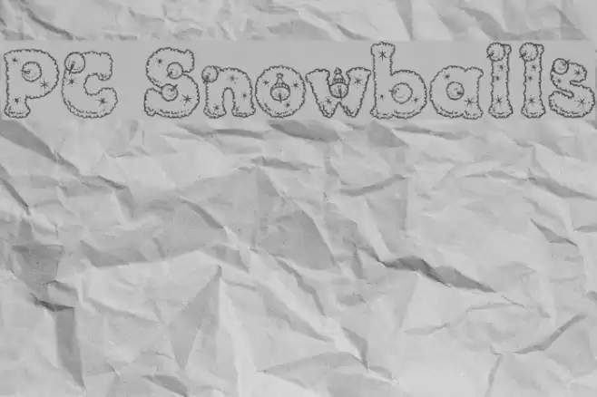 PC Snowballs Polices examples