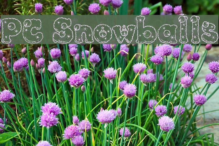 PC Snowballs Font examples