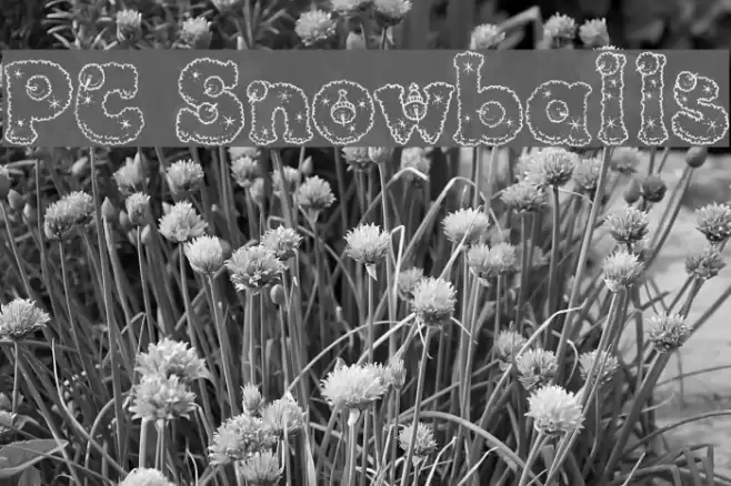 PC Snowballs Polices examples