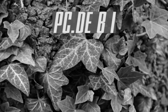 PC.DE Bold Italic Шрифта examples