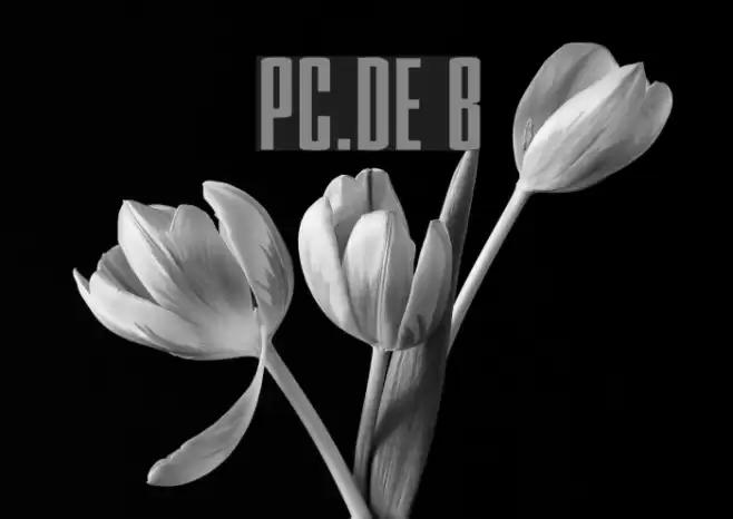 PC.DE Bold फ़ॉन्ट examples