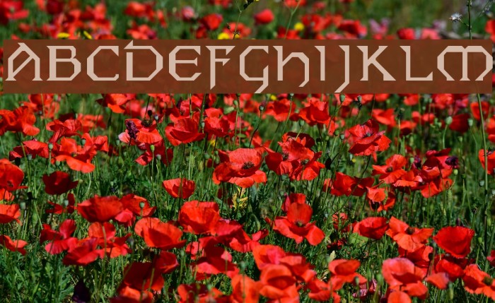 PCEire Font examples