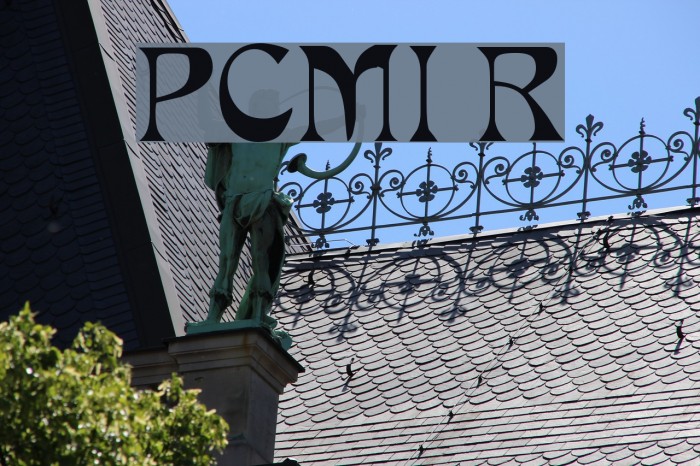 PCMIra Regular Font examples