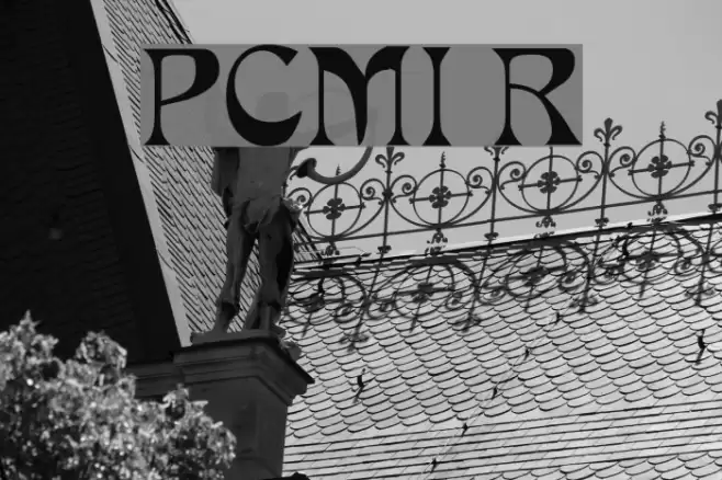 PCMIra Regular Polices examples