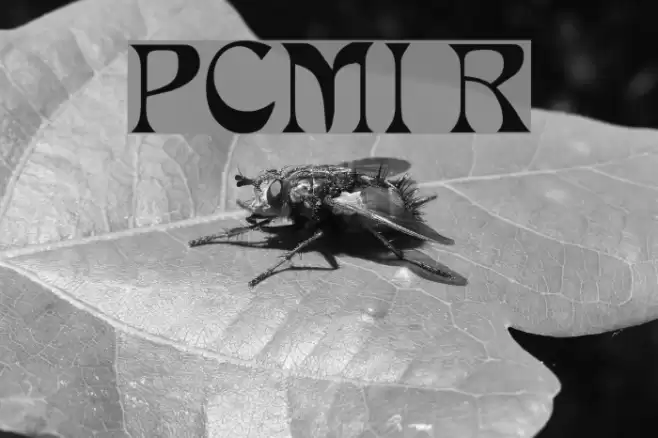 PCMIra Regular Polices examples
