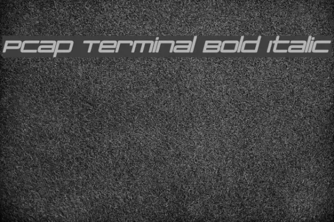 PCap Terminal Bold Italic Font examples