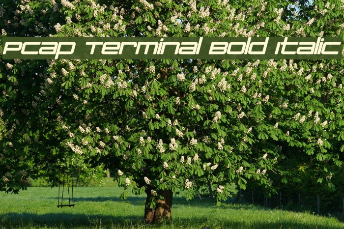 PCap Terminal Bold Italic Font examples
