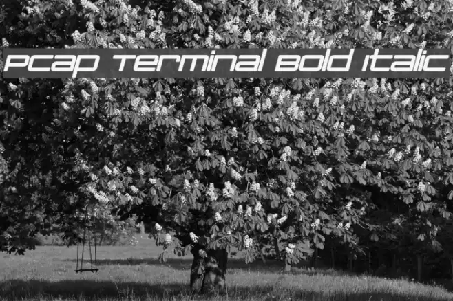 PCap Terminal Bold Italic Font examples
