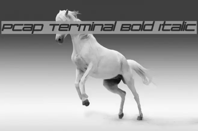 PCap Terminal Bold Italic Font examples