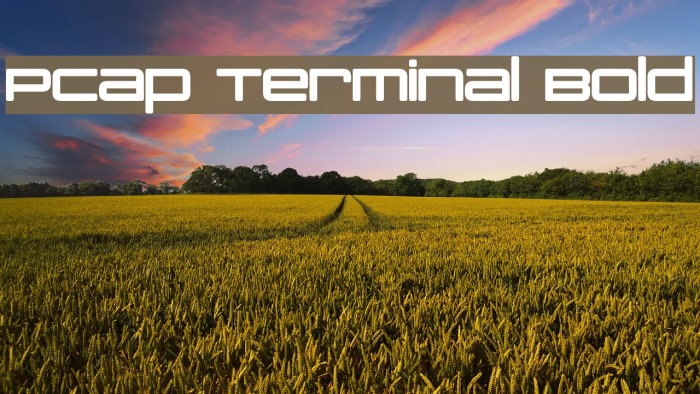 PCap Terminal Bold Font examples