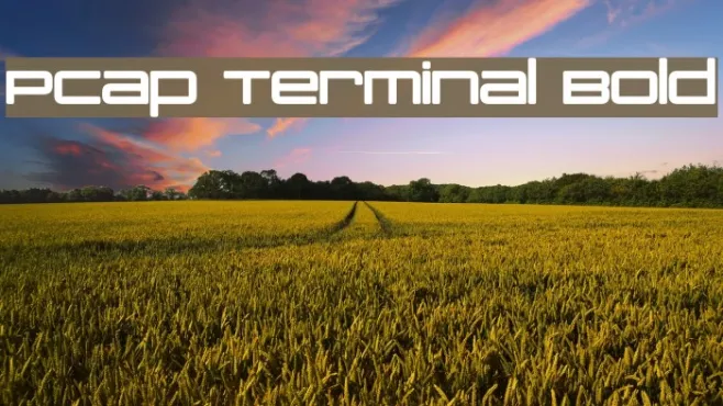PCap Terminal Bold Example 1