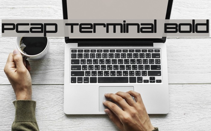 PCap Terminal Bold Font examples