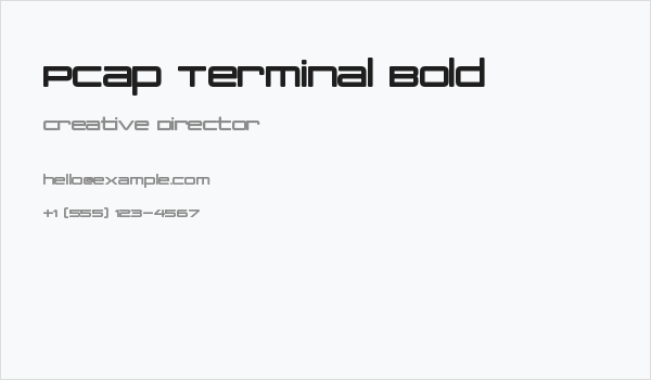 PCap Terminal Bold Business Card
