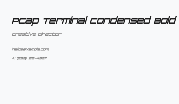PCap Terminal Condensed Bold Italic Business Card