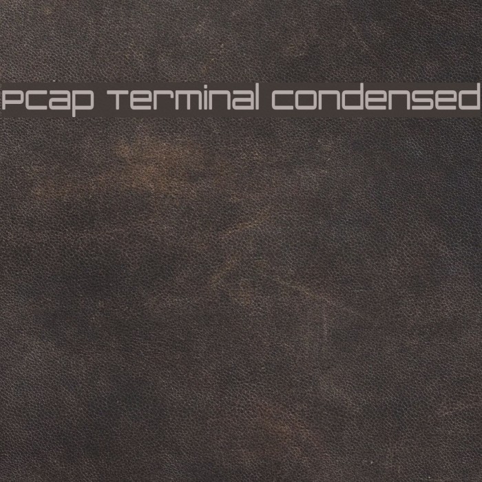 PCap Terminal Condensed Example 1