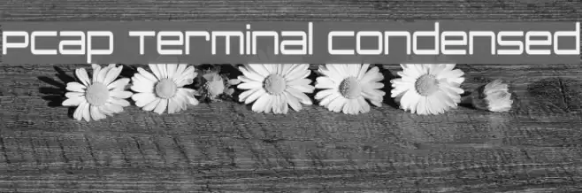PCap Terminal Condensed Font examples