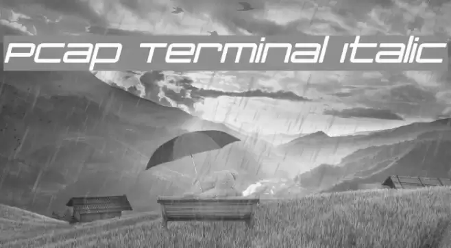 PCap Terminal Italic Font examples