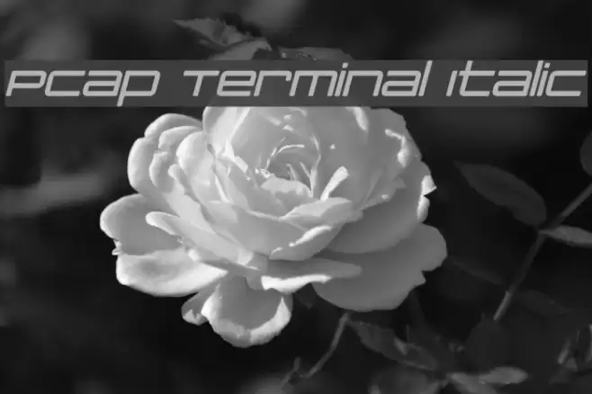PCap Terminal Italic Font examples