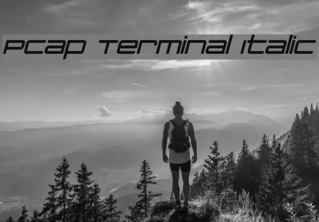 PCap Terminal Italic Font examples