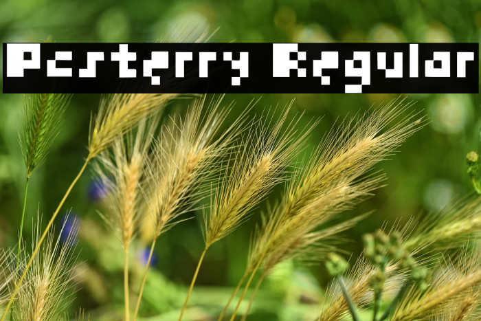 Pcsterry Regular Example 2