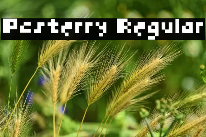 Pcsterry Regular Example 2