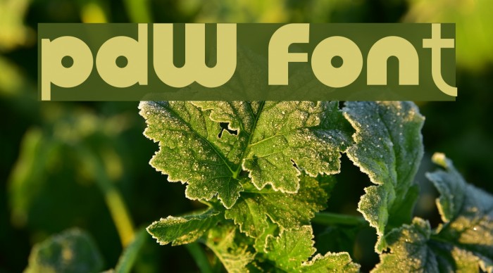 pdW Font examples