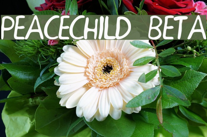 PEACECHILD BETA Font examples