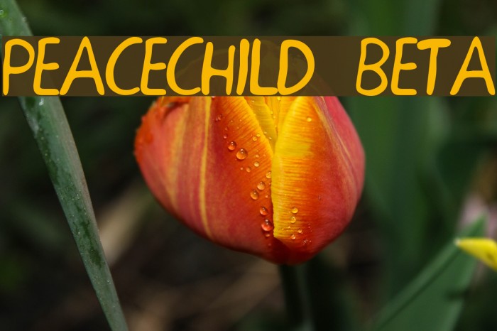 PEACECHILD BETA Font examples