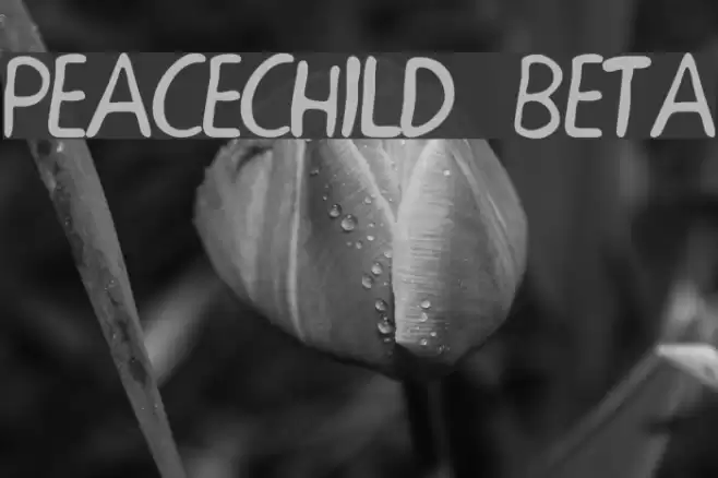 PEACECHILD BETA Шрифта examples