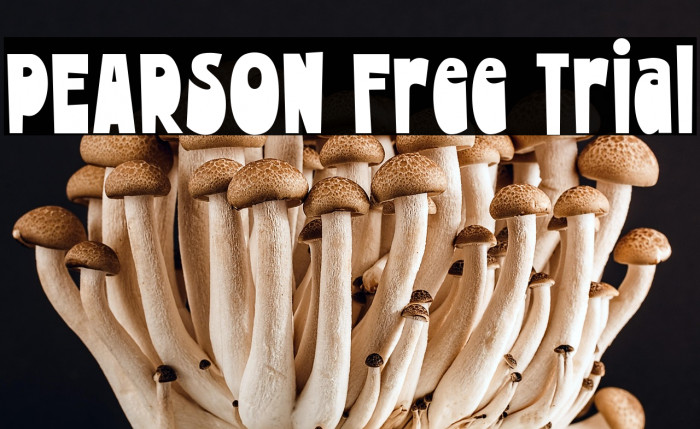 PEARSON Free Trial Example 1