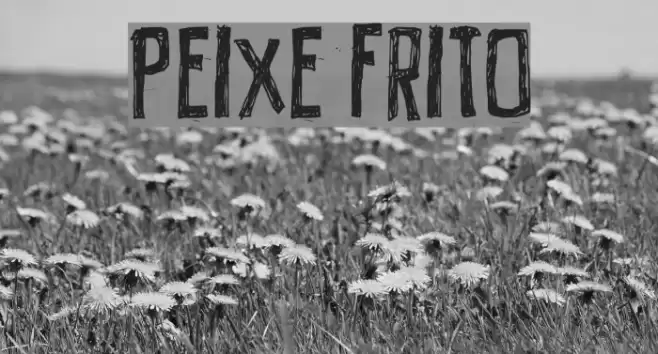 PEIXE FRITO Font examples