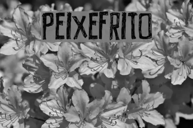 PEIXEFRITO Font examples
