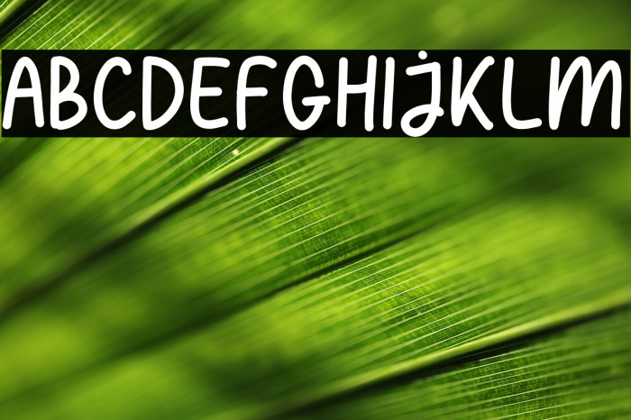 PENCAKE SWEETY Example 1