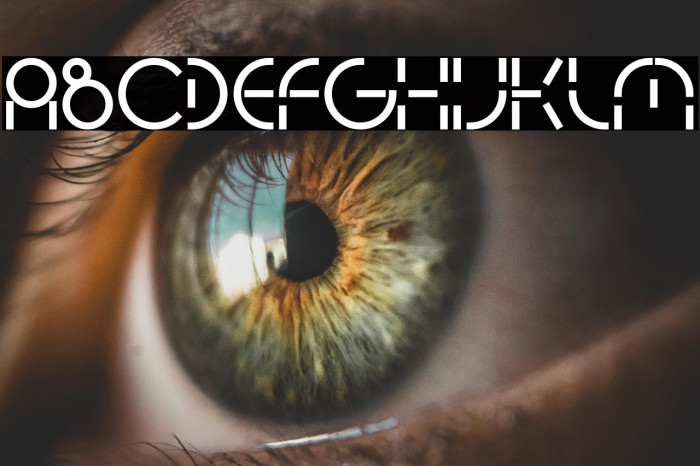 PEOPLE QUARK Bold Example 1