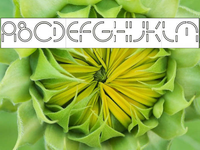 PEOPLE QUARK-Hollow-Inverse Example 2