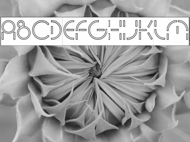 PEOPLE QUARK-Hollow-Inverse Font examples