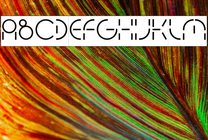 PEOPLE QUARK-Inverse Example 2