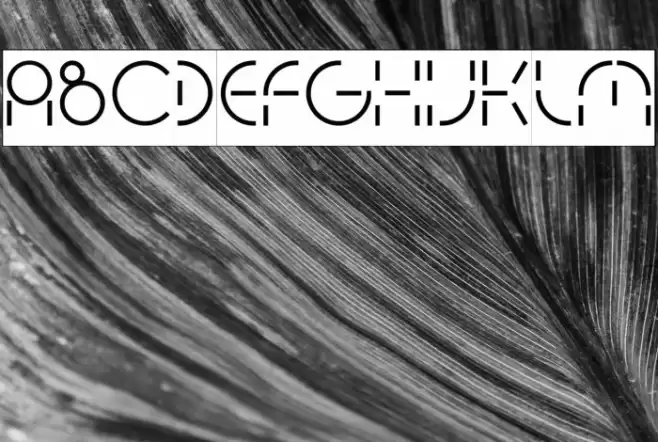 PEOPLE QUARK-Inverse Font examples