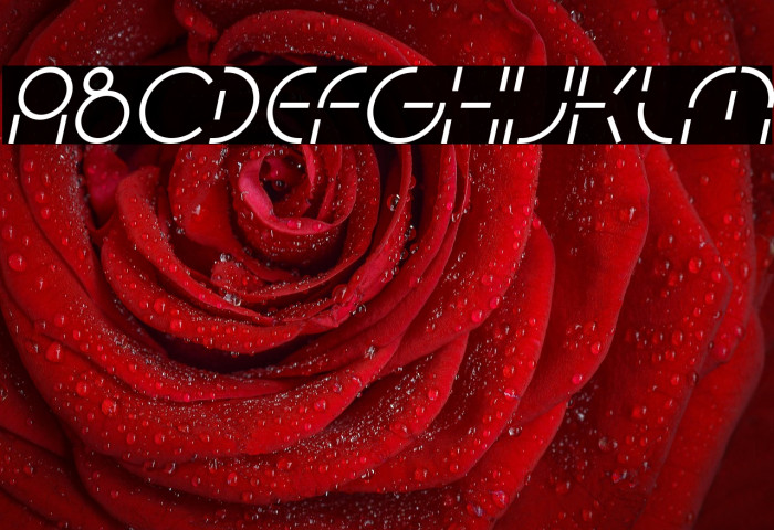 PEOPLE QUARK Italic Example 1