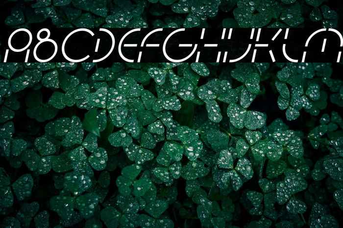 PEOPLE QUARK Italic Example 2