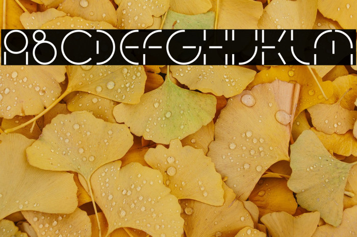 PEOPLE QUARK-Light Example 2