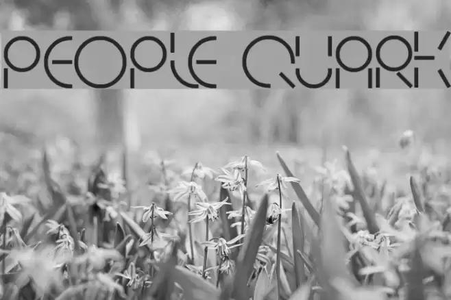 PEOPLE QUARK Font examples