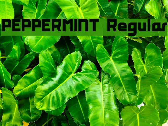 PEPPERMINT Regular Font examples