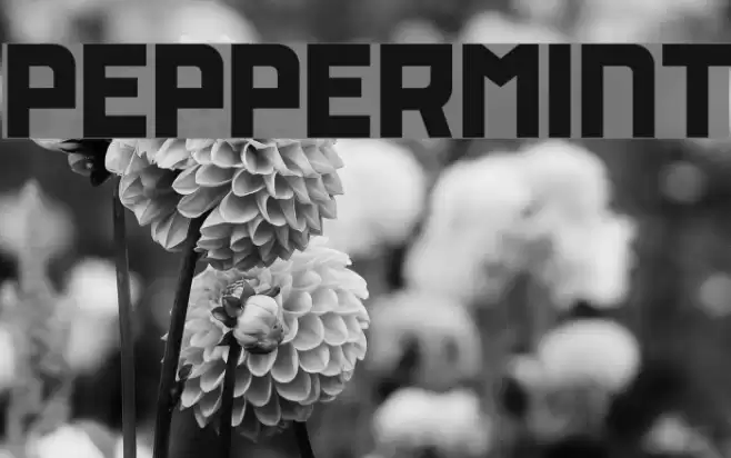 PEPPERMINT Font examples