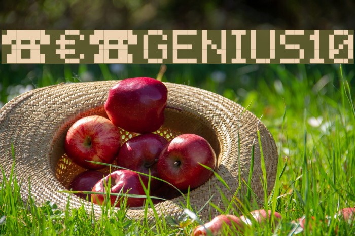 PEPgenius10 Font examples