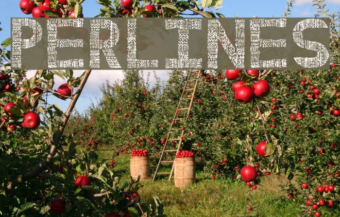 PERLINES Font examples