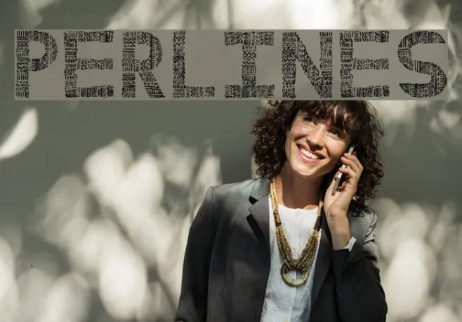 PERLINES Example 2