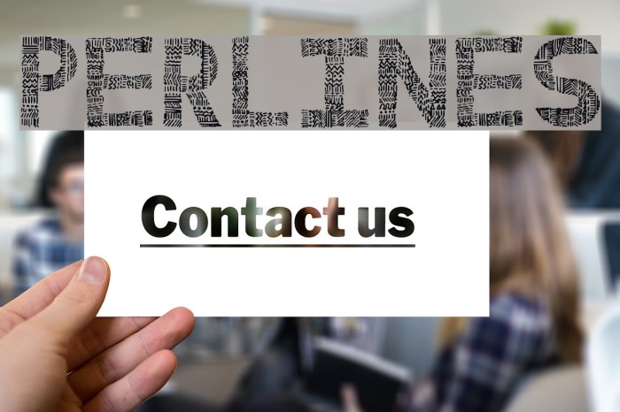 PERLINES Font examples