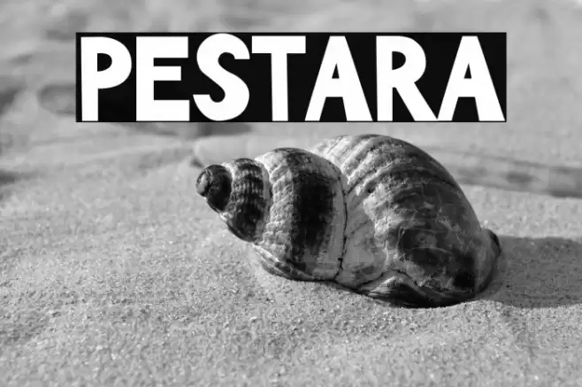 PESTARA Polices examples